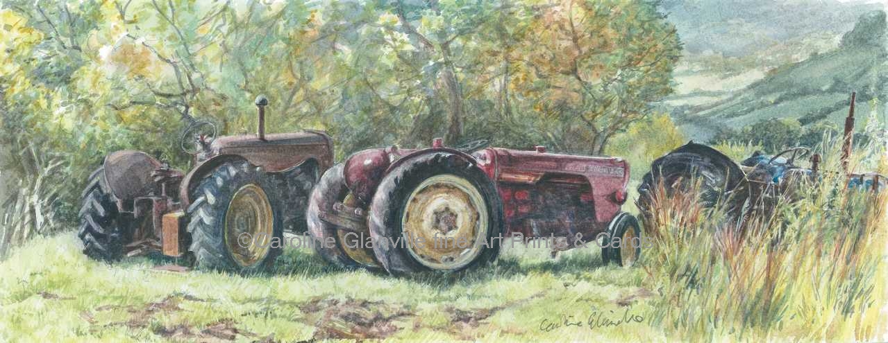 Abandoned tractors, painting by Caroline Glanville